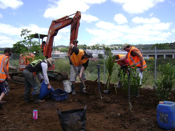 plantingnative trees at United Carriers yard